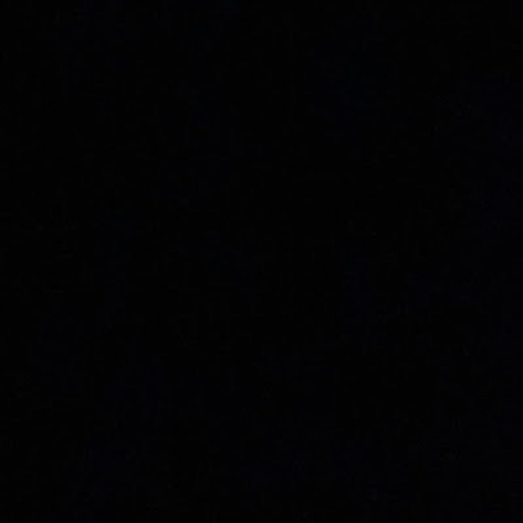 Meet your Posher, Bianca - Picture 1 of 1